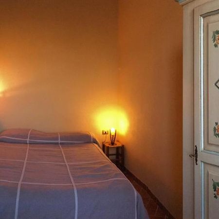 Agriturismo Terre Di Musignano Canino Εξωτερικό φωτογραφία