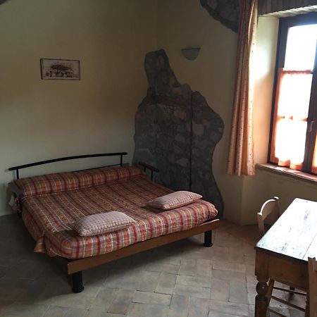 Agriturismo Terre Di Musignano Canino Εξωτερικό φωτογραφία