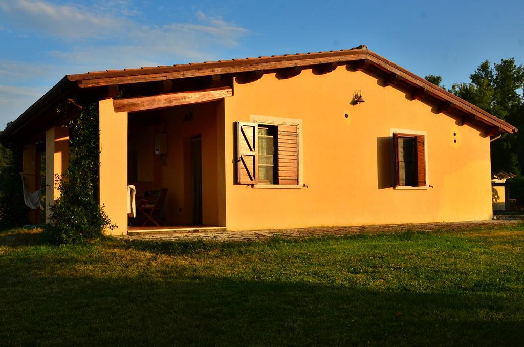 Agriturismo Terre Di Musignano Canino Δωμάτιο φωτογραφία