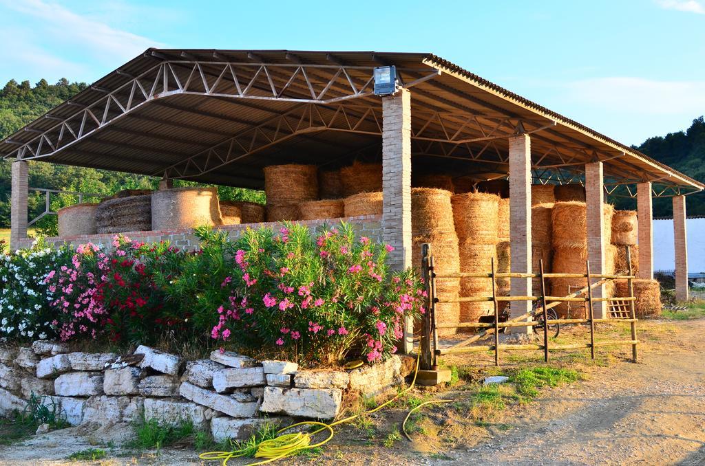 Agriturismo Terre Di Musignano Canino Δωμάτιο φωτογραφία