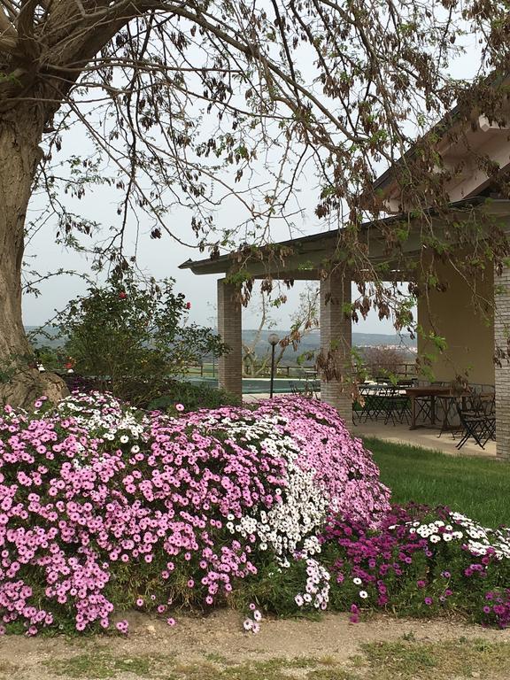 Agriturismo Terre Di Musignano Canino Εξωτερικό φωτογραφία