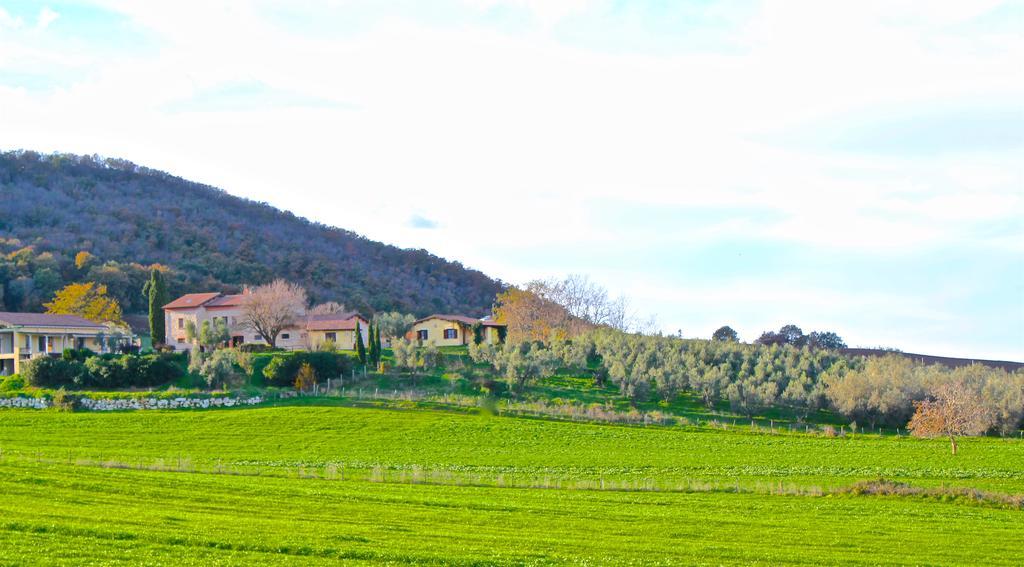 Agriturismo Terre Di Musignano Canino Εξωτερικό φωτογραφία