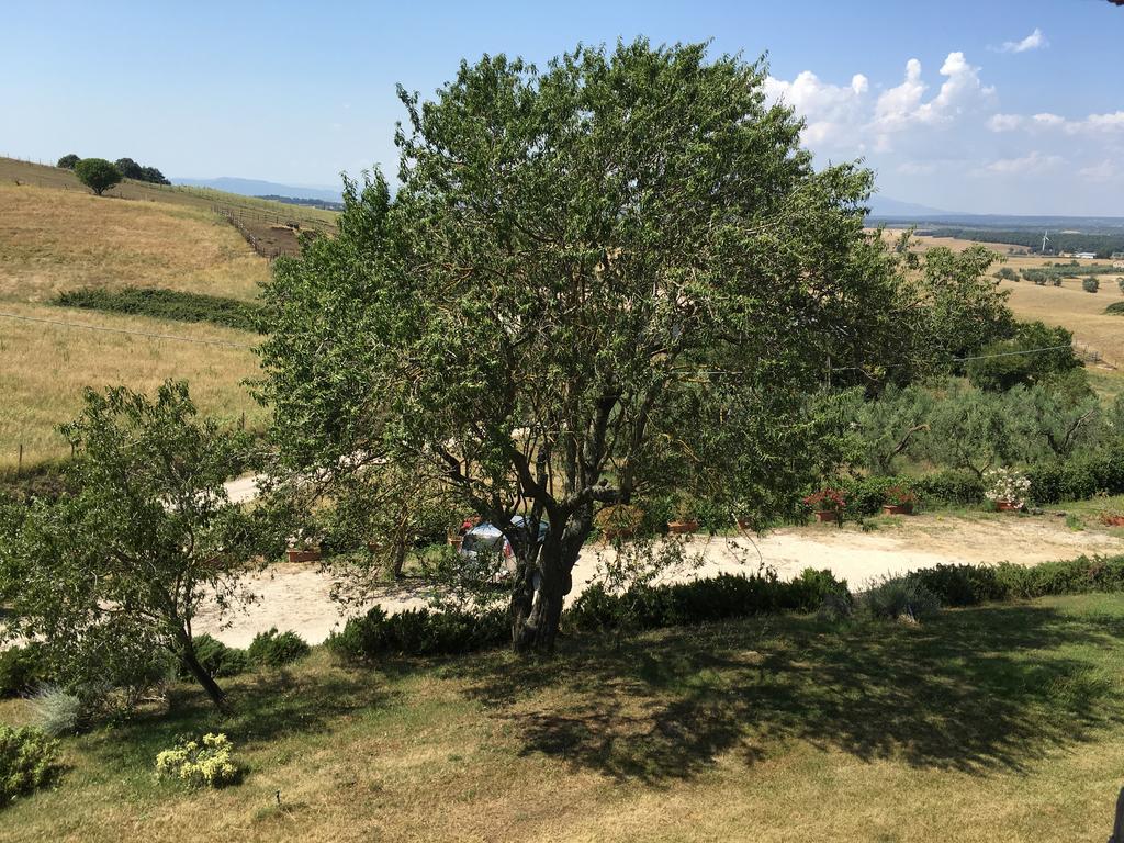 Agriturismo Terre Di Musignano Canino Εξωτερικό φωτογραφία