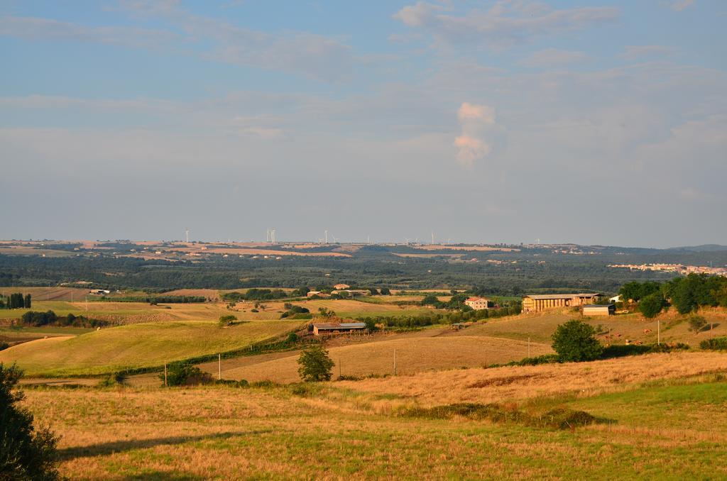 Agriturismo Terre Di Musignano Canino Εξωτερικό φωτογραφία